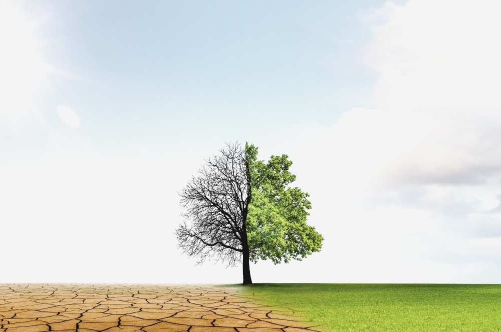 Plumbers » Newcastle Trades Effects of climate change on plumbing systems