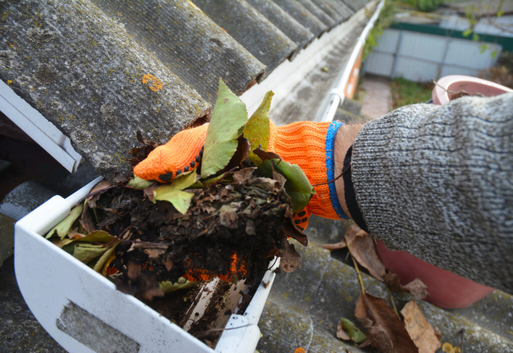 The Top 5 Roofing Services Every Homeowner Should Know About » Newcastle Trades Roofing Services: Gutter Maintenance