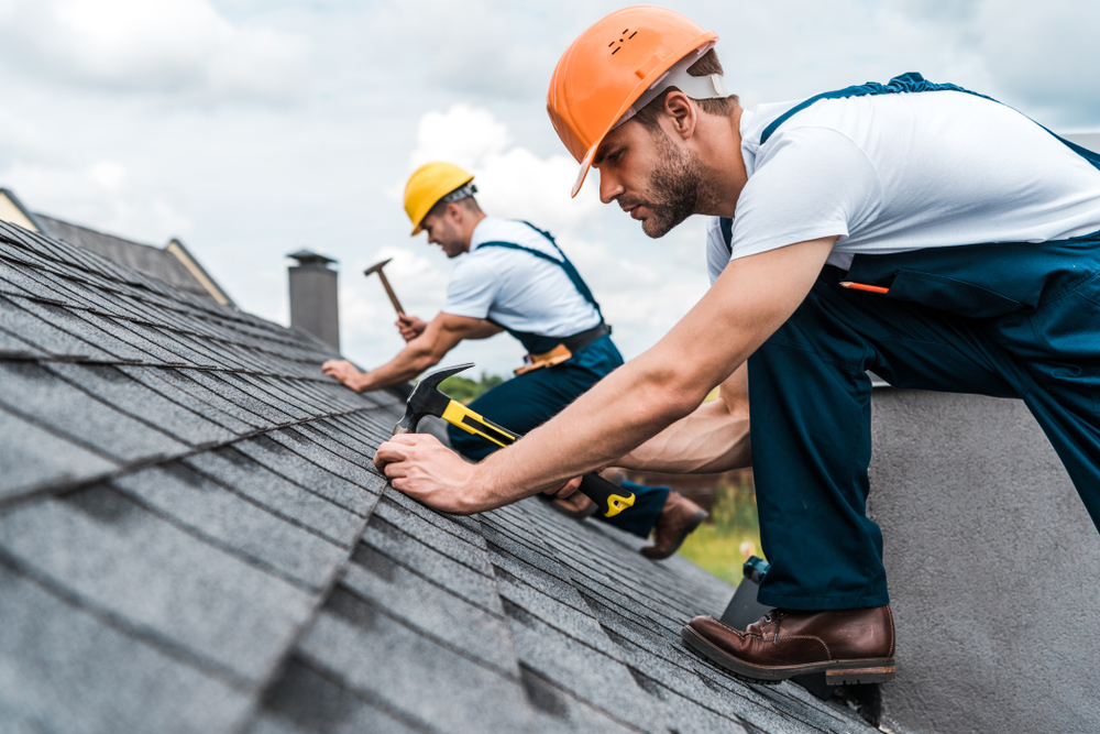 The Top 5 Roofing Services Every Homeowner Should Know About » Newcastle Trades roofing services repairmen